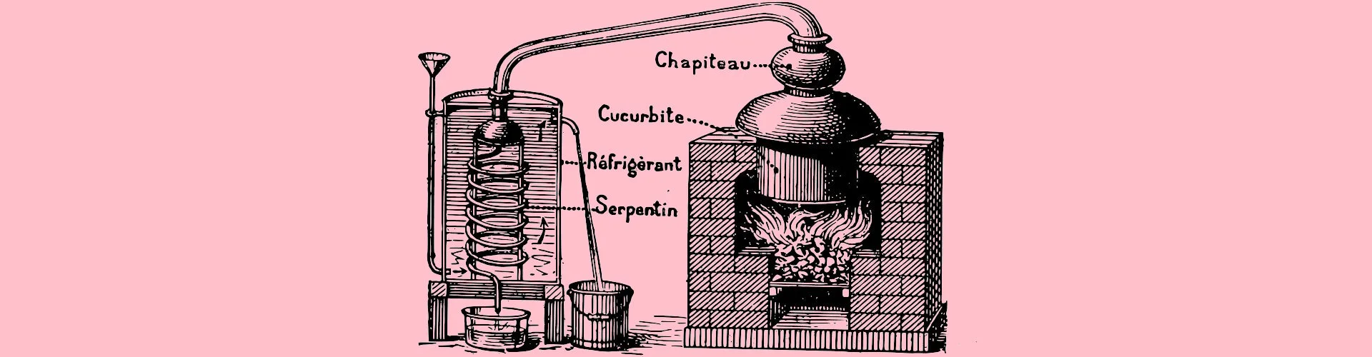 Brewzilla: Pot Still Distillation